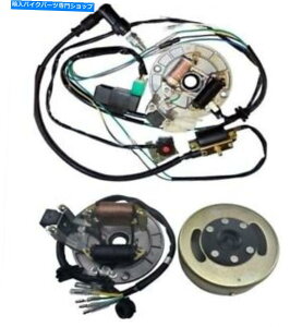 Magnetos z+COjbV}OlgXe[^[v[gtCzC[110cc 125cc 140ccsbgoCNSSR Wiring+Ignition Magneto Stator Plate Flywheel for 110cc 125cc 140cc Pit Bike SSR