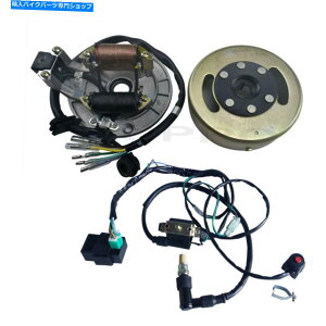 Magnetos 2RC}OlgtCzC[C[n[lXlifan 110cc 125cc apollo xr70 ssr pitbike 2 Coil Magneto Flywheel Wiring Harness Lifan 110cc 125cc Apollo XR70 SSR PitBike