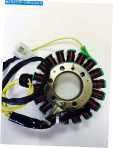 Magnetos 250cc -300cc magneto / stator -scooter cn250X^CGWP^2065e 250cc - 300cc MAGNETO / Stator - SCOOTER CN250 Style Engine Roketa 2065E