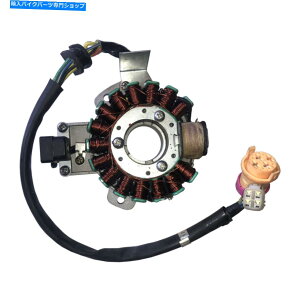 Magnetos 16RC}OlgXe[^[Jianshe 250cc JS250 ATV Mountain Puma 250ccPbgNAbh 16 Coils Magneto Stator JIANSHE 250cc JS250 ATV Mountain Puma 250CC Rocket Quad