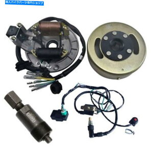 Magnetos Lifan 125cc�X�e�[�^�[�}�O�l�g�t���C�z�C�[���v�[���[�z���s�b�g�o�C�N�A�|��SSR�N�[���X�^�[ Lifan 125cc Stator Magneto Flywheel Puller Wiring Pit Bike Apollo SSR Coolster�y���s�A���i�z