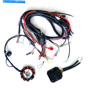 Magnetos 6sM[^[ +ptH[}X11|[}Olg[BGY6125A150ccXN[^[[y 6 Pin Regulator +Performance 11 Pole Magneto.for GY6 125, 150CC SCOOTER MOPED
