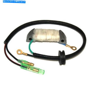 Magnetos }ñWFl[^[}OlgXe[^[\[XRC1rry-85512-20-00 Generator Magneto Stator Source Coil for Yamaha 1RY-85512-20-00