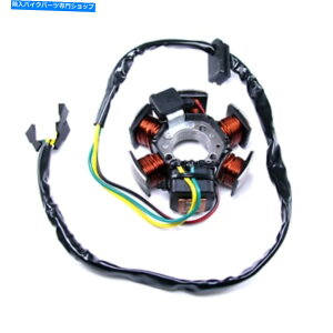 Alternators 3 4 5 6�G���W��/�G�l�W���X�e�[�^�[�R�C���̃~�i�����̃I���^�l�[�^�[ Alternator for Minarelli At 3 4 5 6 Engines/Enegine Stator Coil