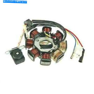 Alternators ecobike bt49qt 12c1 50 4t Rebel 2008-2010̃Xe[^[2ڑ Stator 2 Connections For Ecobike BT49QT 12C1 50 4T Rebel 2008 - 2010