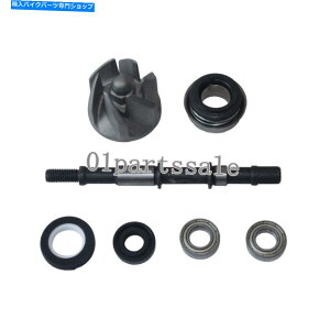 Water Pump CF250 250ccpATVJ[gXN[^[[yh^I^IpEH[^[|vAZu Water Pump Assembly for CF250 250cc Water Cooled ATV Kart Scooter Moped TaoTao