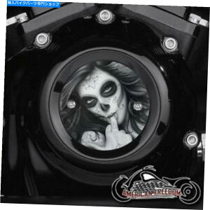 Engine Covers �n�[���[�f�r�b�h�\���~���E�H�[�L�[8 8�̃^�C�~���O�|�C���g�J�o�[M8�G���W��M-F�M���� HARLEY DAVIDSON MILWAUKEE 8 EIGHT TIMING POINTS COVER M8 ENGINE M-F GAL