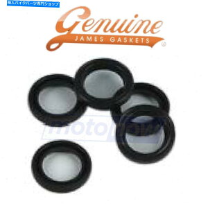 Engine Gaskets 1983年のジェームズガスケットオイルポンプシールハーレーデビッドソンFXDGディスクグライド-EngineFF James Gasket Oil Pump Seal for 1983 Harley Davidson FXDG Disc Glide - Engine ff