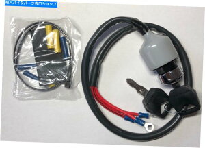 Switches n[[frbh\X|[cX^[XL 94-11̃NCOjbVL[XCb` Chrome Ignition Key Switch for Harley Davidson Sportster XL 94-11
