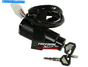Switches V93-09RN[E500 1100 ZX11 ZX-11COjbVXCb`27005-5101 NEW 93-09 KAWASAKI CONCOURS NINJA 500 1100 ZX11 ZX-11 IGNITION SWITCH 27005-5101