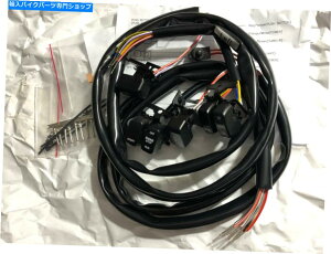 Switches nho[XCb`C[n[lXLbgrbOcC96/06X|[cX^[96/06 handlebar switch Wiring harness kit big twin 96/06 sportster 96/06
