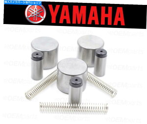 Starter �X�^�[�^�[�N���b�`�i�X�v�����O�A�L���b�v�A���[���[�j�C���Z�b�g���}�n�i�t�B�b�g�����g�`���[�g���Q�Ɓj Starter Clutch (Spring, Cap and Roller) Repair Set Yamaha (See Fitment Chart)�y���s�A���i
