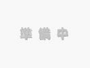 【定形外郵便対応可能】　HITACHI　日立掃除機用　ワククミ　(フィルタ)PR部品コード：CV-PR200-005