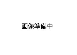 y[֑Ή\zTIGER@^CK[@r@XeX~j{g@񊮐iR[hFMMP2033yRz