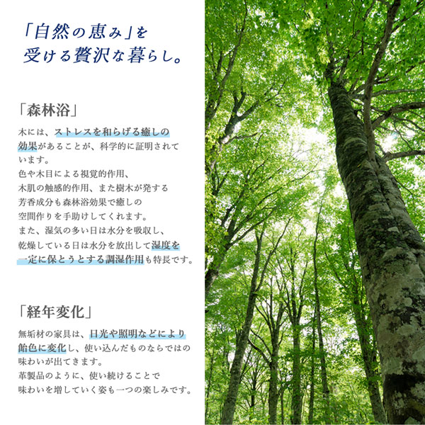 楽天市場】ベンチ ダイニング 天然木モダンデザインダイニングシリーズ