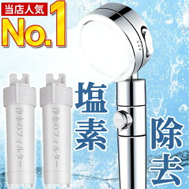 【ANDERIS公式★最安挑戦★8,500円⇒2,780円！】ANDERIS公式 節水 シャワーヘッド 塩素除去 水流調整 増圧 シャワー 浄水 止水 美肌 美髪 美容 節水シャワー 風呂 ホワイト 水圧 強い 低水圧 保湿 毛穴汚れ 頭皮 手元止水 シルバー 洗顔 角度調整 アダプター付