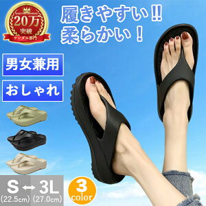 yĐVoꁚՌZ[2,250~!zr[`T_ Y fB[X  q[ y ɂȂ ₷ jp gOT_   傫TCY IV ȂT_