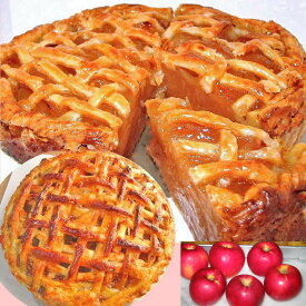 紅玉りんごのアップルパイ5号 送料別 バースデー ギフト スイーツプレゼント 誕生日 父の日ギフト 父の日プレゼント 父の日スイーツ 贈り物 お取り寄せグルメ おすすめアップルパイ