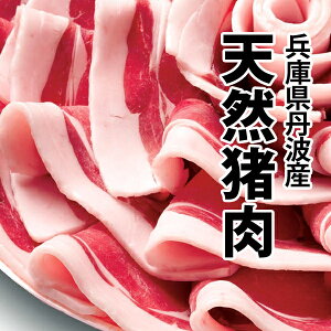 WrG VR  ڂ  O Zbgi[Xj Y [X 300g X[vT[rXI Ⓚ