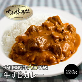 大和榛原牛 牛肉 肉 牛すじ カレー お得な 4パックセット 送料無料 大和榛原牛 黒毛和牛 A5 すじ肉 スジ 冷凍便