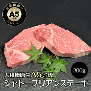 Ε ~Mtg   i aY A5 蕨 H Vg[uA ϔ  јa A5 j j  a v[g Ⓚ