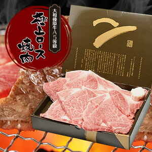 Mtg   i aY A5 ɏネ[X ē؂Jbg 700g ϔ  u[X јa ē A5 Ă LjN ₫ɂ j j v[g Ⓚ