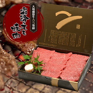 Mtg   aY A5 ~胂  iĂEtpj 600g ϔ  јa A5 ē Ă LjN ₫ɂ j j v[g Ⓚ