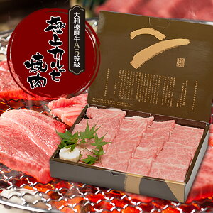 Mtg  i aY A5 ɏJr 500g ϔ  јa A5  ē Ă LjN ₫ɂ j j v[g Ⓚ