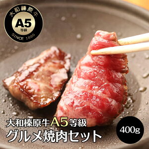 O ēZbg aY A5 јa  400g inlV^[XF100gE~XWF100gE~E`qF200gj  јa A5 ē Ă LjN BBQ Ⓚ
