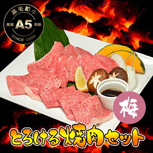 Ƃ낯ēZbg ~R[X 250g iJr150g{o100g / 2lOj  јa A5  ēp ē Ă LjN BBQ Jr  yΉ Ⓚ