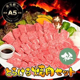 とろける 焼肉セット 松コース＋追加オプション 1.25kg （カルビ250g＋極上バラ250g＋霜降り肉250g＋豚バラ250g＋桜島鶏モモ肉250g / 7〜8人前） 送料無料 黒毛和牛 A5 牛肉 焼肉用 焼肉 焼き肉 ヤキニク BBQ カルビ かるび あす楽対応 冷凍便