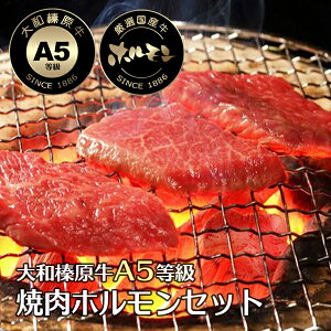 ēzZbg 700g i~mThF200gEĂF200gEJrF150gEoF150gj  јa A5 ē Ă LjN BBQ Jr  z ق Ⓚ