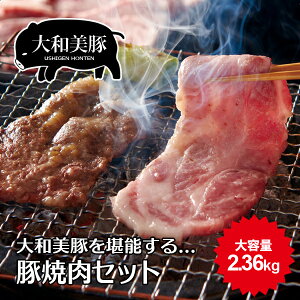 a ē BBQ Zbg 2.36kg i؃[XF120g×4E[XF120g×4E؃oF500gE؂ƂF500gE\[Z[WF10{E≖v[gF1Eē̂F180cc×2{j ēZbg  