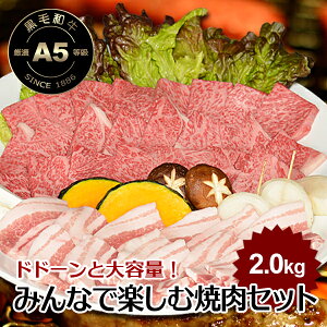 ݂ȂŊy ē BBQ e o[xL[ Zbg p[eB[  aY A5 Ђ Jr a ؃o ؃g {  ECi[ \[Z[W ēt ^