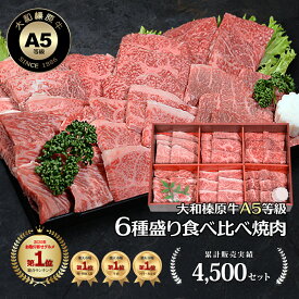 お歳暮 冬ギフト 大和榛原牛 A5 焼肉セット 6種盛り 黒毛和牛 送料無料 希少部位 お歳暮 冬ギフト BBQ 冷凍便