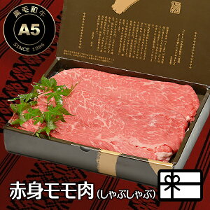 Ε ~Mtg  i Ԃ    Ԃԓ aY A5 Ԑg  iԂԗpj ϔ  蕨 p 䒆 јa A5 j 