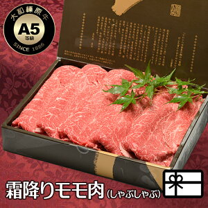 Ε ~Mtg 蕨   Ԃ  aY A5 ~胂  iԂԗpj ϔ  јa A5 j j v[g Ⓚ