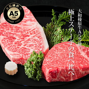   aY A5 Vg[uA 150g×2 { T[C Xe[L 300gi150g×2j H јa Xe[L tB Vg[uA q փ Ⓚ