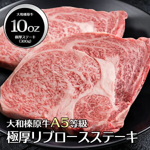 Ε ~Mtg    i aY A5 ɏネ[X u[X 蕨 Xe[L ϔ  јa A5 j j  a v[g Ⓚ