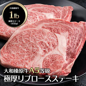 Ɍ Xe[L 10IX / 1|h   aY A5 Xe[L ɏネ[X u[X rbOXe[L   јa