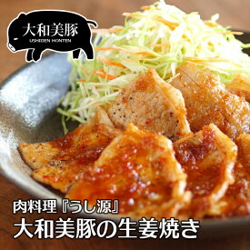 【お買い物マラソン】大和美豚 豚肉 肉 生姜焼き しょうが焼き たっぷり 500g （4-5人前） 生姜 しょうが おかず 弁当 定食 保存 冷凍便
