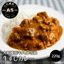 大和榛原牛の 牛すじ カレー 220g 大和榛原牛 黒毛和牛 A5 すじ肉 スジ RCP 冷凍便
