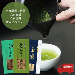 y2025NVzy[֑z { 3{Zbg 3ވݔ 3{Zbg  [ t   ʘI Β }{p JeL [E܁EʘIݔ