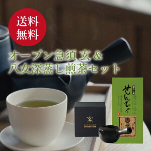 【2025年新茶】急須 日本茶 ギフト 茶葉 プレゼント 送料無料 茶器 フタ無しオープン急須 玄 八女茶 お試しセット オシャレ バレンタイン ホワイトデー 贈り物 キッチン小物 食器【店頭受取