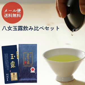 y2025NVzy[֑z `{ʘI ʘI ݔ Zbg 2025 V t ʘI {  Β [   ʘIݔ׃Zbg