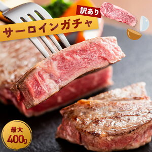 _10OFFN[|3,978~I^ yјa T[C K` ő400g z T[CXe[L T[C Xe[L K` 󂠂 a ē Ă  Ԑg ґ   ubN Y 