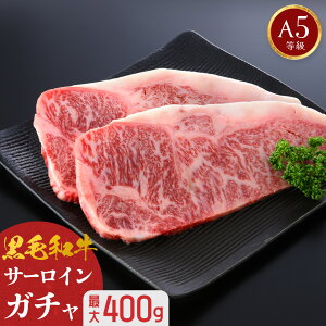 �y A5���� ���јa�� �T�[���C���K�`�� �ő�400g �z �k�C���Y �T�[���C���X�e�[�L �T�[���C�� �X�e�[�L �K�`�� �󂠂� �a�� �ē� �Ă��� ������ �Ԑg �ґ� ���� �u���b�N ���Y ���� ���؂� ����