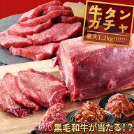 【 最大1.2kg！牛タン ブロック ガチャ 】A5黒毛和牛が当たるかも！ 大容量 BBQ バーベキュー 送料無料 …