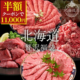 ＼50%OFFクーポンで11,000円／【 北海道の贅沢福袋 】A5 A4 黒毛和牛 牛肉 食べ比べ セット 牛肉 セット サーロイン クラシタロース 牛ヒレ ヒレステーキ サイコロステーキ 切り落とし 牛肉 切り落とし 赤身 霜降り 和牛 国産 冷凍