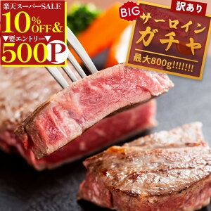 _yVX[p[SALE10OFF^ y јa T[CK` ő800g z T[CXe[L T[C Xe[L K` 󂠂 a ē Ă Y  Ԑg ґ   ubN Y